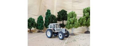 SUMMER TREES 