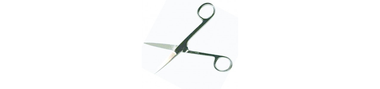 Schaar